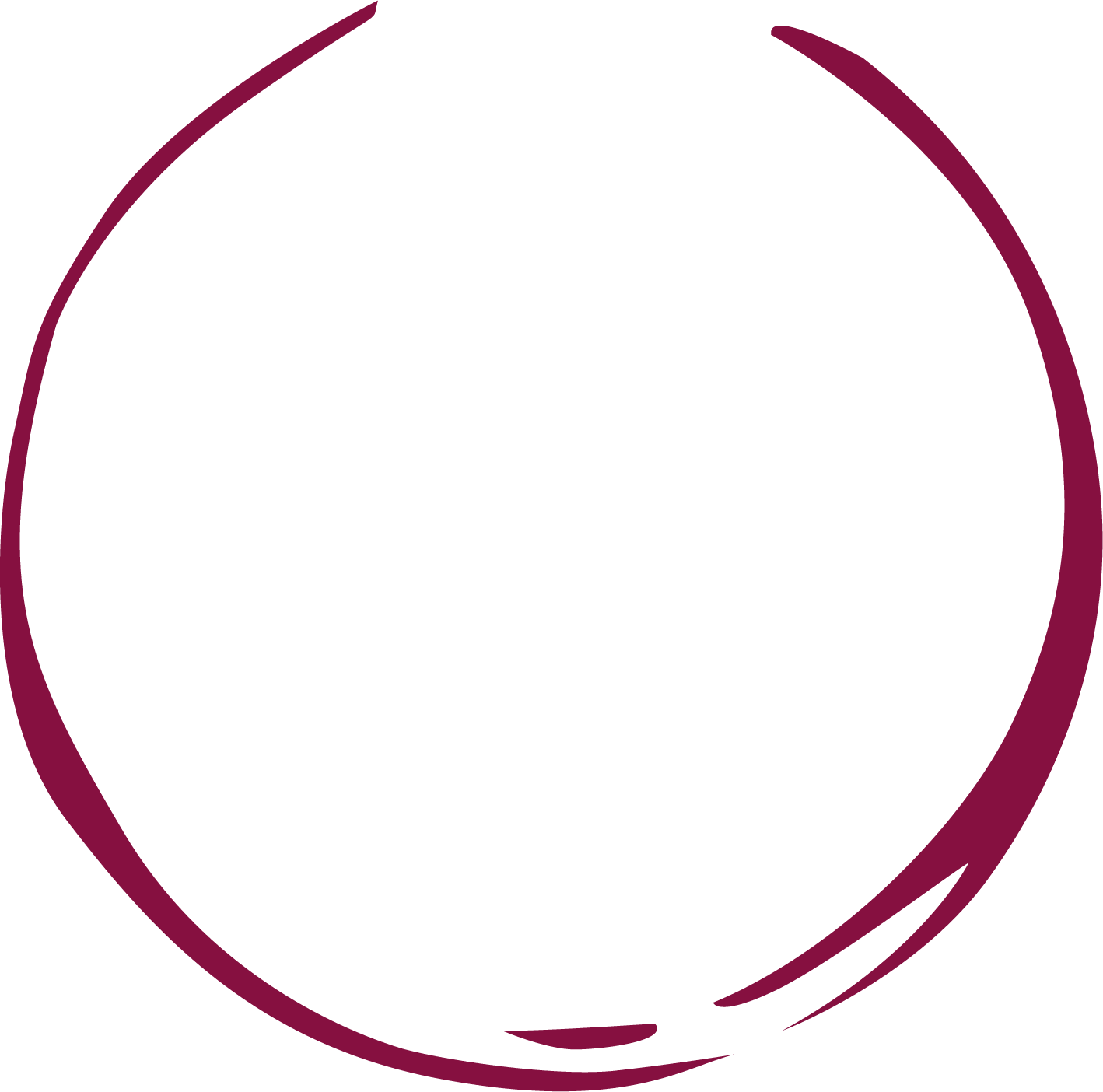 AMD Vins